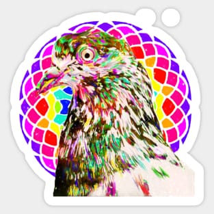 Pigeon Mandala Sticker